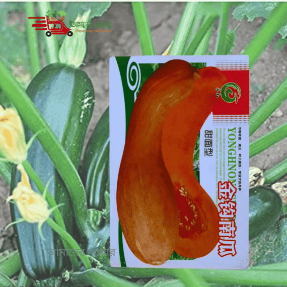 গোল্ডেন হুক কুমড়া