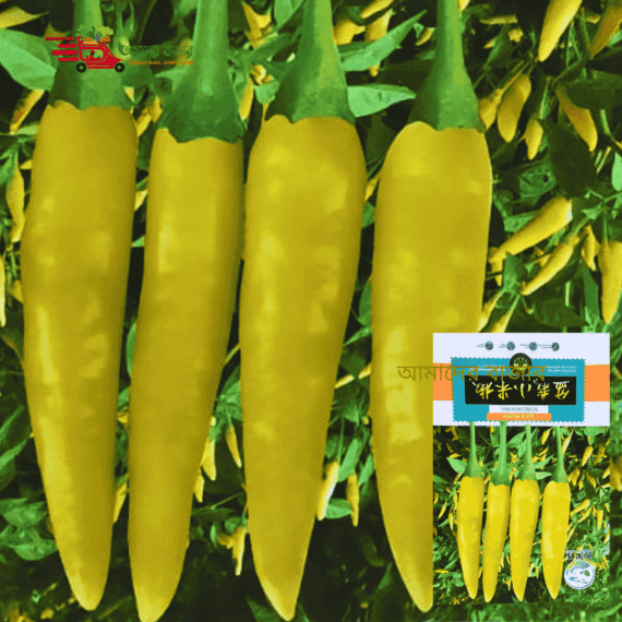 BONZAI Small Green Chili সবুজ লম্বা মরিচ