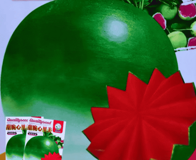 সবুজ লাল মিশ্র মূলা