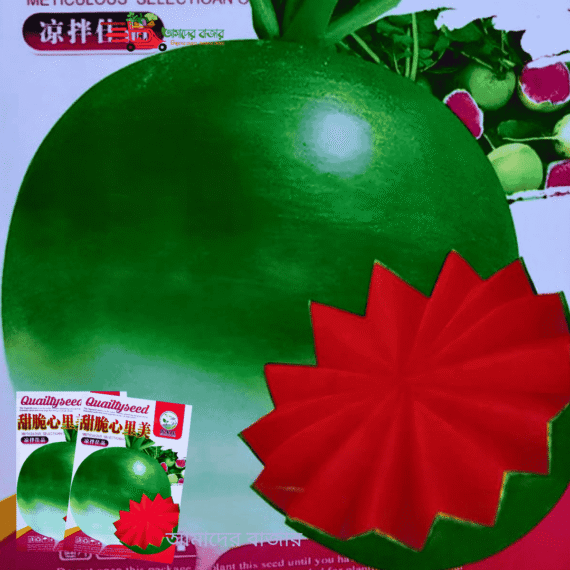 সবুজ লাল মিশ্র মূলা