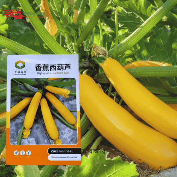 Yellow Squash
