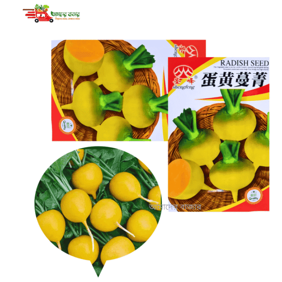 ডিম কুসুম রঙা মূলা