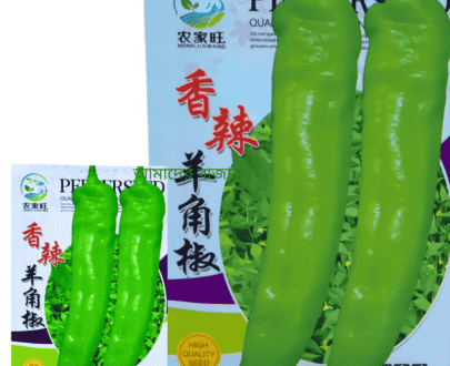 Fragrant Spicy Ram Horn Chili