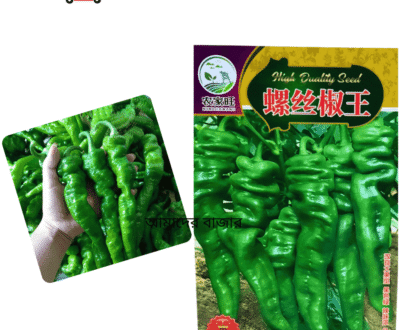 King Twisted Green Chili সবুজ মোচড়ানো মরিচ