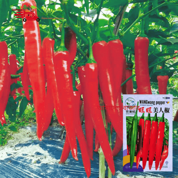 বিদেশী লম্বা লাল মরিচ