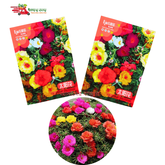 Portulaca