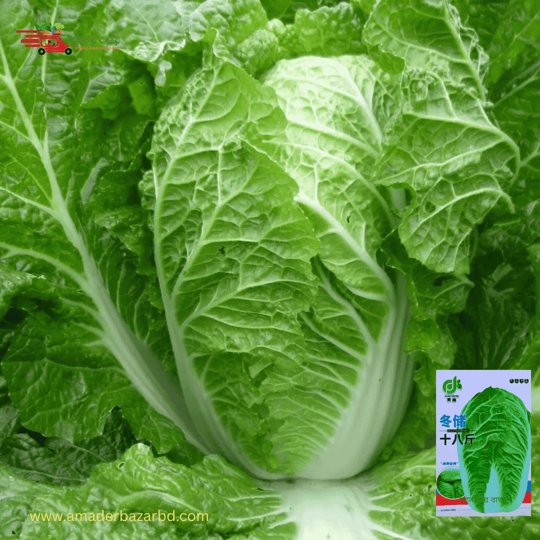 āĻāĻžā§āύāĻŋāĻ āĻļā§āϤāĻāĻžāϞā§āύ āĻŦāĻžāĻāϧāĻžāĻāĻĒāĻŋ