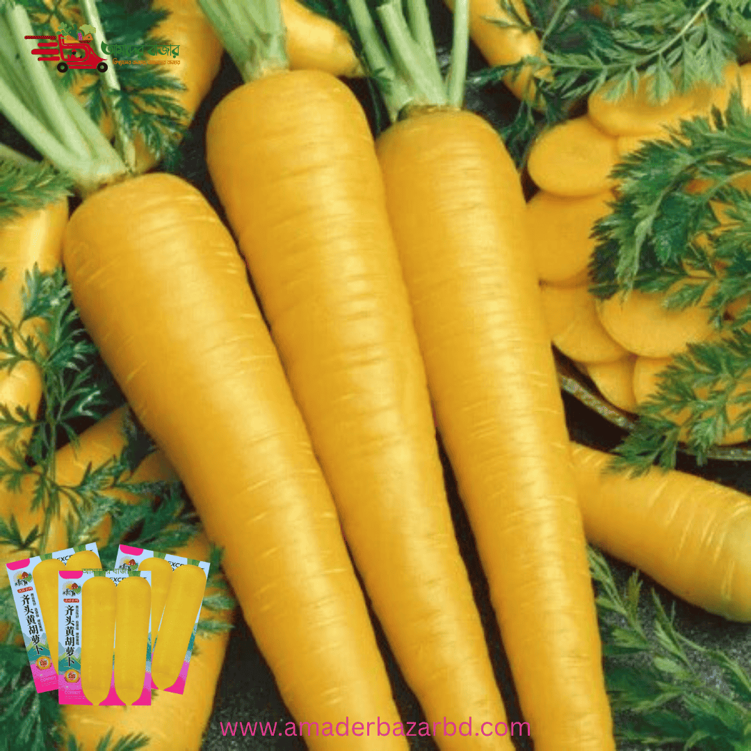 āĻāĻžā§āύāĻŋāĻ Yellow Carrot