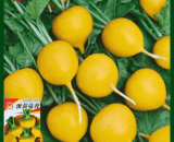 Egg Yellow Radish