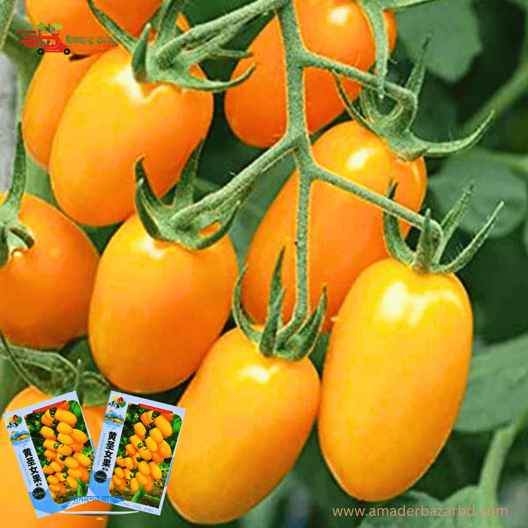 Yellow Cherry Tomato