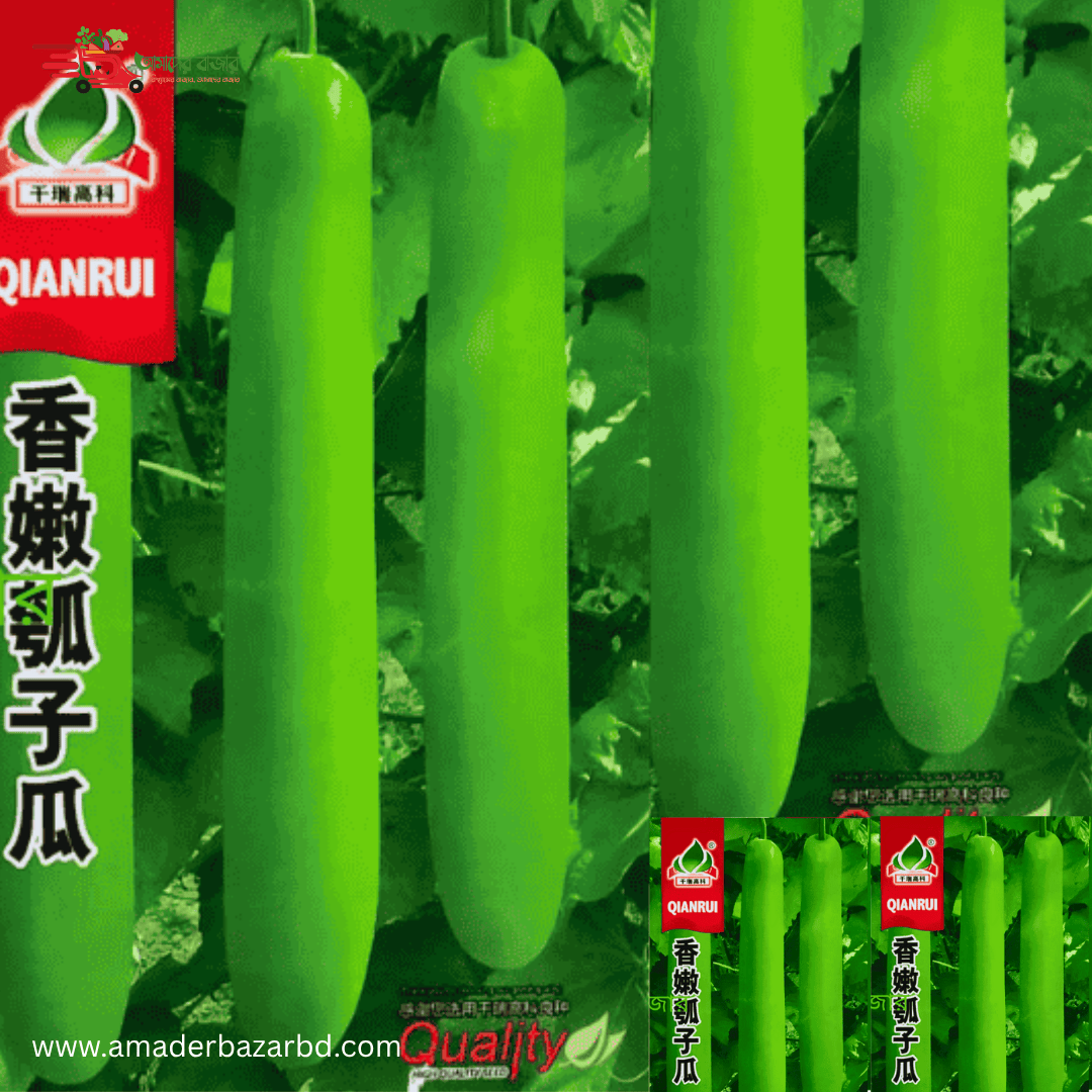 বিদেশী সুগন্ধি লাউ