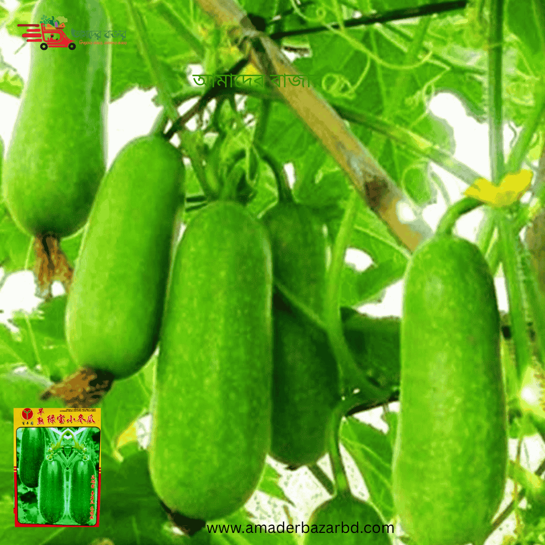 বিদেশি চালকুমড়া