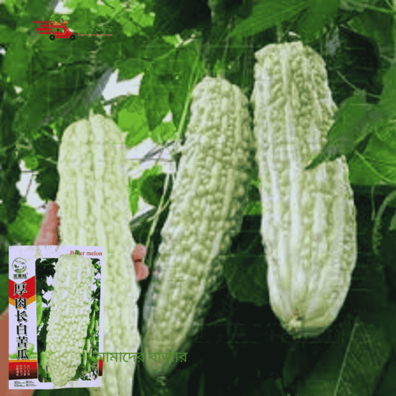 চাইনিজ হাইব্রিড সাদা করলা