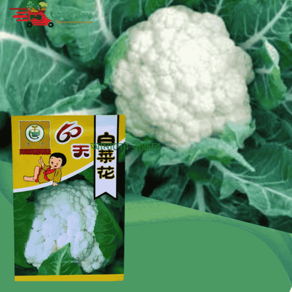 Cabbage-flower-60
