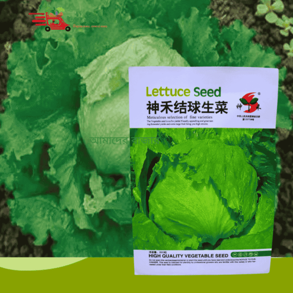 Cabbage-lettuce