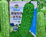 বিদেশী সবুজ করলা/Bitter Gourd