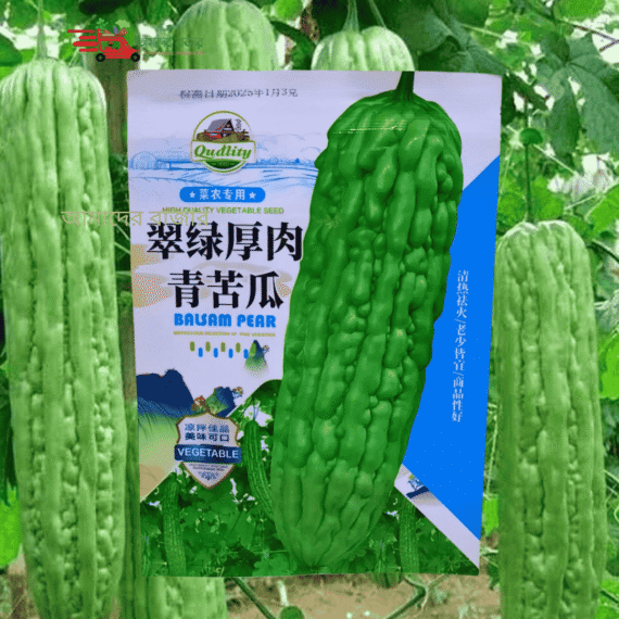 বিদেশী সবুজ করলা/Bitter Gourd