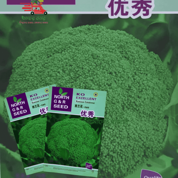 Broccoli