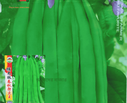 Spring & Autumn Bean King বসন্ত-শরৎ বরবটি রাজা