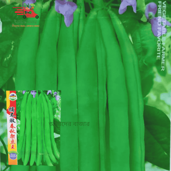 Spring & Autumn Bean King বসন্ত-শরৎ বরবটি রাজা