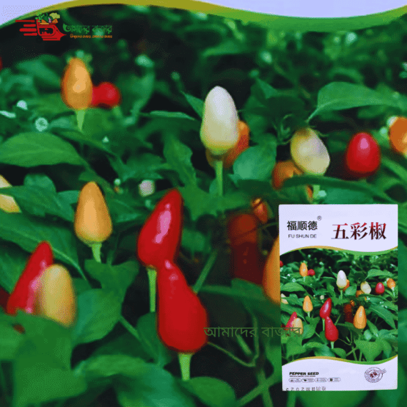 FU SHUN DE রঙিন অলংকারি মরিচ বীজ