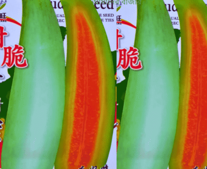 হানি মেলন / মিষ্টি লাউ