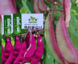 বেগুনি শিম / Purple Flat Bean