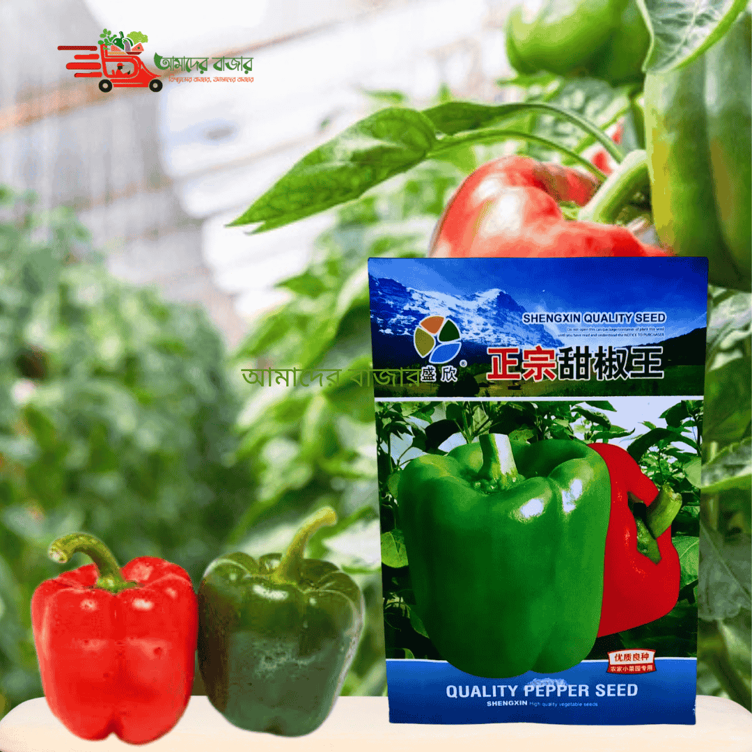 বেল মরিচ