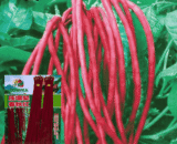 বিদেশী লাল লম্বা বরবটি