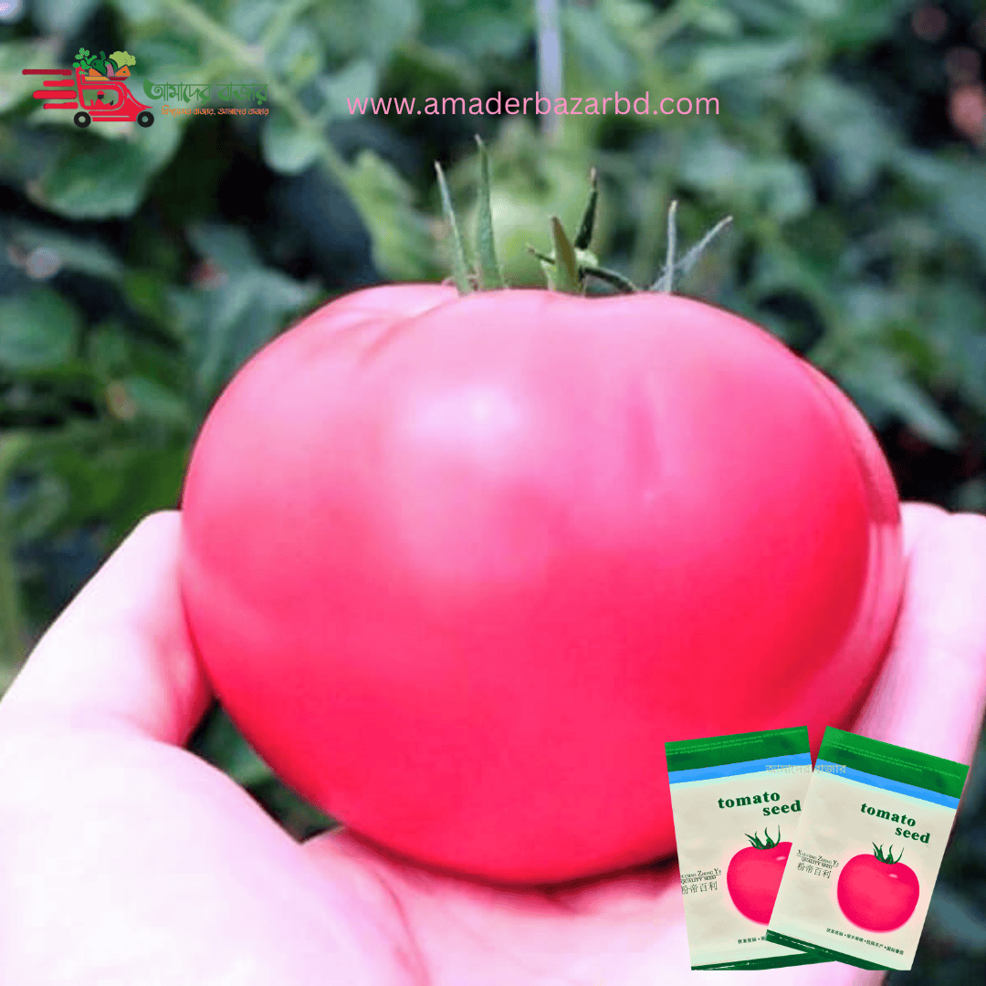 āĻā§āϞāĻžāĻĒā§ āĻāĻŽā§āĻā§