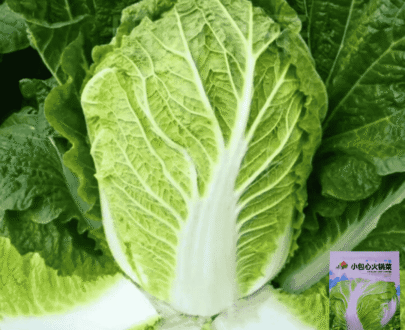 Mini Napa (Hotpot) Cabbage