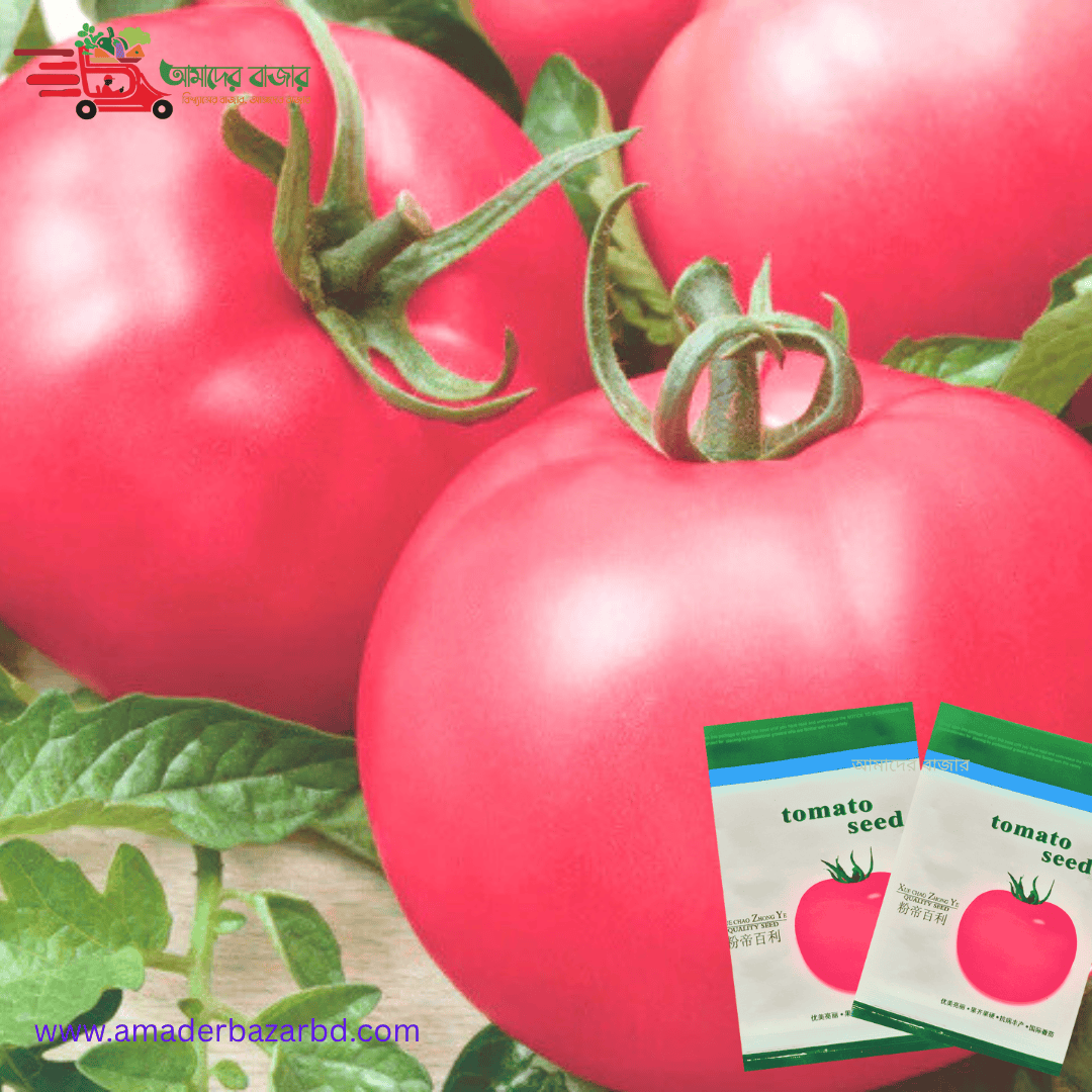 đ
 āĻŦāĻŋāĻĻā§āĻļā§ āĻĒā§āϰāĻŋāĻŽāĻŋāϝāĻŧāĻžāĻŽ āĻā§āϞāĻžāĻĒā§ āĻāĻŽā§āĻā§ (āĻāĻžāĻāĻāĻŋ ⧍ā§Ļā§Ļ āĻŦā§āĻ) āĻāĻžā§āύāĻŋāĻ āĻļāĻžāύāĻĄāĻ āĻā§āώāĻŋ āĻŦāĻŋāĻā§āĻāĻžāύ āĻāĻāĻžāĻĄā§āĻŽāĻŋ āĻāϰ āĻĻā§āĻŦāĻžāϰāĻž āĻāĻŦā§āώāĻŖāĻžāĻā§āϤāĨ¤ āĻāĻāϰā§āώāĻŖā§āϝāĻŧ āĻā§āϞāĻžāĻĒā§ āϰāĻ- āĻā§āϤ⧠āϏā§āϏā§āĻŦāĻžāĻĻā§ āĻŽāĻŋāώā§āĻāĻŋāĨ¤ āĻ
āϧāĻŋāĻ āĻĢāϞāύāĻļā§āϞ- āĻāĻžāĻ āĻĒā§āϰāϤāĻŋ āĻĢāϞāύ ā§Ž āĻā§āĻāĻŋ āĻĒāϰā§āϝāύā§āϤ āĻāĻŽā§āĻā§āĨ¤ - Image 2