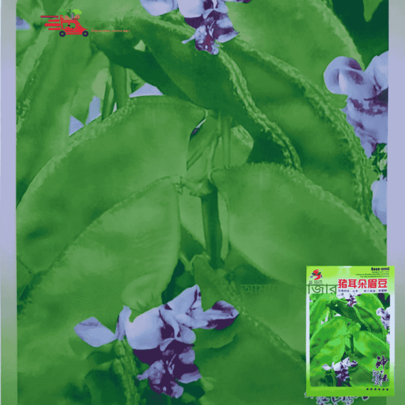 সবুজ সিম