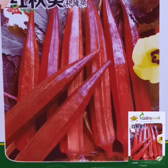 বিদেশী লাল ঢেঁড়স (HUAYUPAI ব্র্যান্ড – XINGYUN🌱) – উচ্চ ফলনশীল জাত। দ্রুত বৃদ্ধি ও রোগ প্রতিরোধ ক্ষমতা ভালো। দৃষ্টিনন্দন লাল রঙ এবং সুস্বাদু ও পুষ্টিকর। - Image 3
