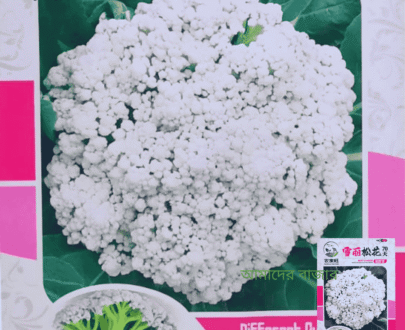 Snow White Cauliflower