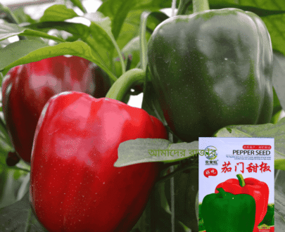 King Arthur Bell Pepper