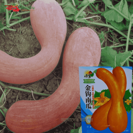 গোল্ডেন হুক কুমড়া