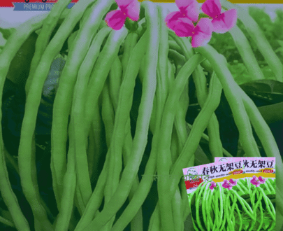 Unframed Long Bean