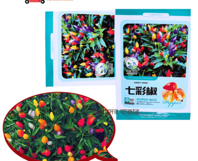 Rainbow Chili