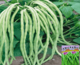 চায়নিজ Unframed Long Bean- লম্বা বরবটি