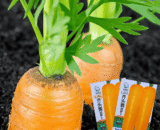Green-Orange Tubular Carrot