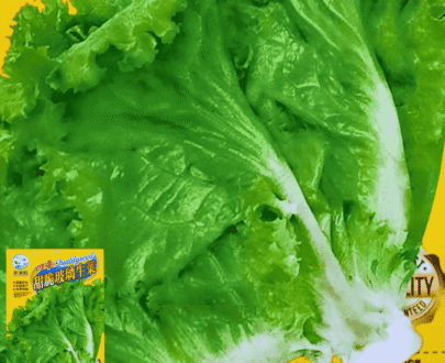 Glass Lettuce
