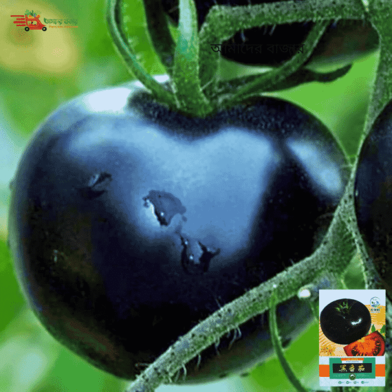 Black Tomato