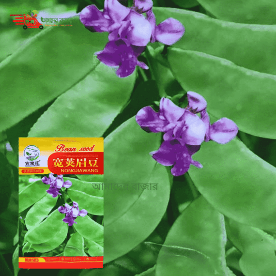 Green Bean Seed (সবুজ শিম