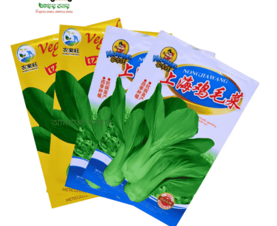 Shanghai Green / Shanghai Bok Choy