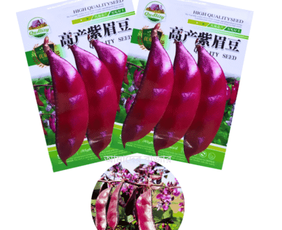 Purple Bean Seed বেগুনি শিম
