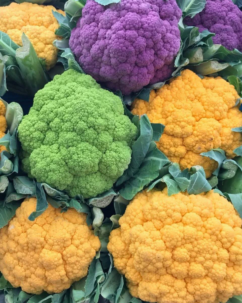 đą āĻāĻŽāĻĒā§āϰā§āĻāĻā§āϤ Orange Cauliflower - āĻāĻŽāϞāĻž āĻĢā§āϞāĻāĻĒāĻŋ (āĻāύā§āĻŽāĻžāύāĻŋāĻ ā§Šā§Ļā§Ļ āĻŦā§āĻ) āĻāĻā§āĻ āĻĢāϞāύāĻļā§āϞ āĻ āĻāύā§āύāϤ āĻāĻžāϤđ āĻĒā§āώā§āĻāĻŋāĻā§āĻŖā§ āĻāϰāĻĒā§āϰ āĻŦāĻŋāĻāĻž-āĻā§āϝāĻžāϰā§āĻāĻŋāύ āϏāĻŽā§āĻĻā§āϧđĒ āĻā§āĻ āϧāĻžāĻāϧāĻžāύ⧠āĻŦāĻŋāĻļā§āώ āĻāĻžā§ āĻāĻŽāϞāĻž āϰāĻ āϝāĻž āĻāĻā§āĻ āĻāĻžāĻšāĻŋāĻĻāĻž & āĻŽā§āύāĻžāĻĢāĻž āϤā§āϰāĻŋ āĻāϰā§āĨ¤ - Image 4