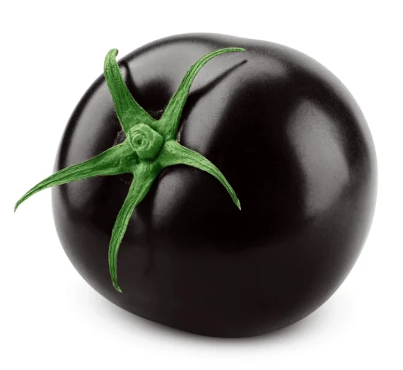Black Tomato – কালো টমেটো (বিশুদ্ধ ১০০ বীজ) বেগুনি-কালো রঙ এবং দেখতে খুবই আকর্ষণীয়। মিষ্টি ও সুস্বাদু স্বাদ, কোনো তিক্ততা নেই। ধারাবাহিক ফলনশীল ও গাছ প্রতি গড় ওজন 5 কেজি পর্যন্ত। - Image 2