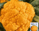 কমলা ফুলকপি