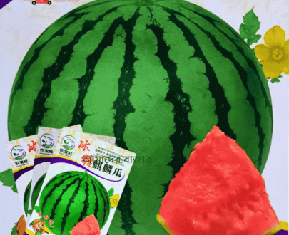 Seedless Kylin Watermelon